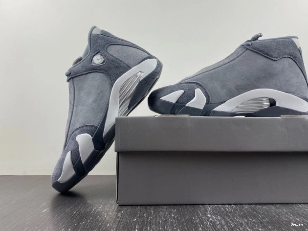 Bmlin shoes Air FJ3460-012 Grey Flint Jordan 14 0710